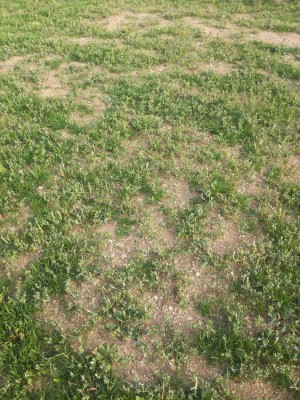 IMG_20180901_173522.jpg