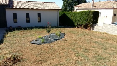 20180916_121622.jpg