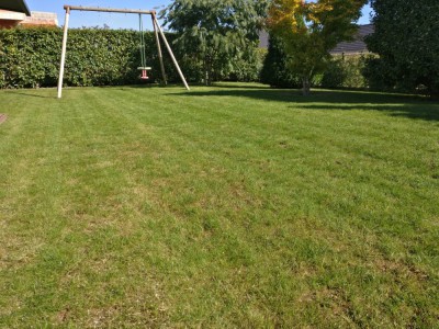 IMG_20180916_112756.jpg
