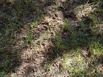 IMG_20180916_113008.jpg