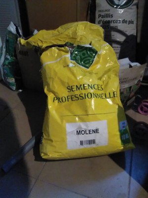 semences.jpg