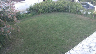 IMG_20180918_182846.jpg