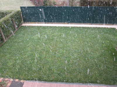 IMG_1583 (Medium).JPG