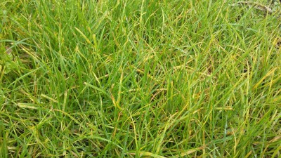 20180923_124216.jpg