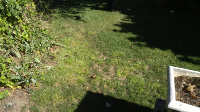 IMG_20180925_131119.jpg