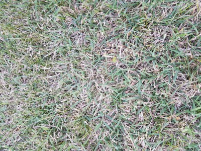 20180925_190150.jpg