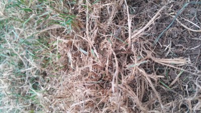 20180922_192842.jpg