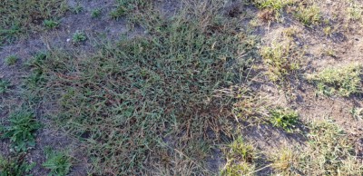 20181001_094143.jpg