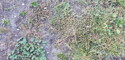 20181001_094151.jpg