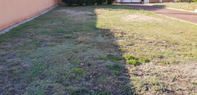 20181001_094157.jpg