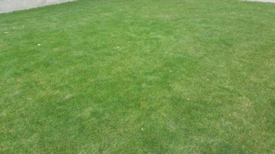 20181001_124433.jpg