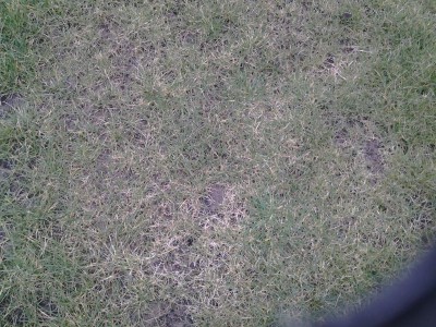 20160309_145327.jpg