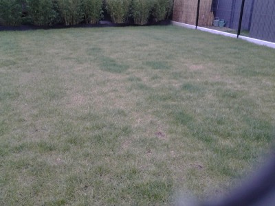 20160309_145330.jpg