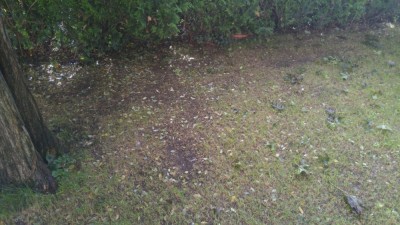 IMG_20181007_160152.jpg