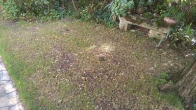 IMG_20181007_160158.jpg