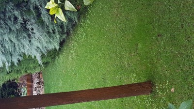 20181011_080847.jpg