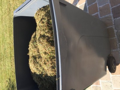 après ramassage tondeuse + balai à gazon on remplit la poubelle !