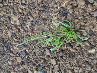 20181020_101415.jpg