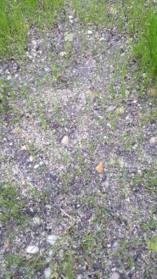 20181023_184636_resized.jpg