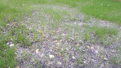 20181023_184650_resized.jpg