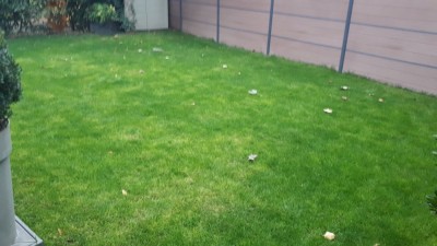 20181024_183854.jpg