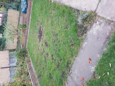 20181024_181946.jpg