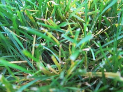 IMG_3951.JPG