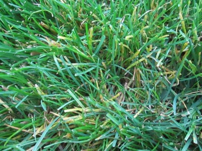 IMG_3952.JPG