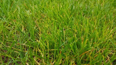 20181025_103731.jpg