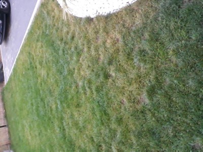 20181025_182323.jpg
