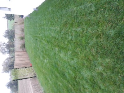 20181025_182529.jpg