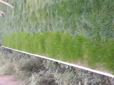 20181025_182811.jpg