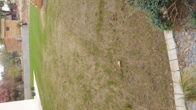 20181024_174647_HDR.jpg