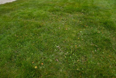 _MG_5300.jpg