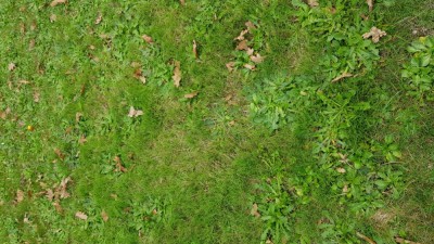20181026_142544.jpg