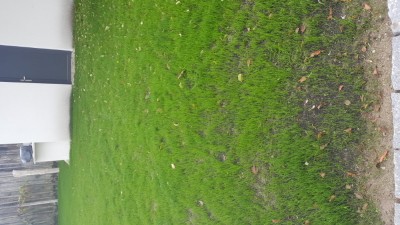 20181026_162542.jpg