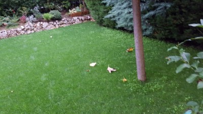 20181029_083518.jpg