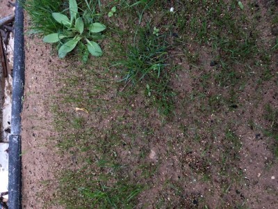 IMG_0924.jpg