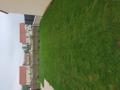 20181104_122259.jpg