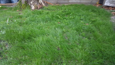 20181114_164339_resized.jpg