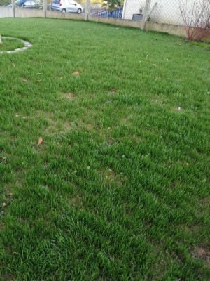 IMG_20181118_150723.jpg