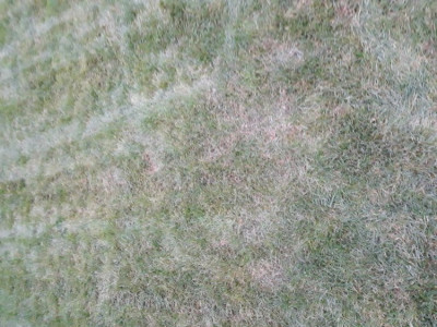 20181120_085016.jpg
