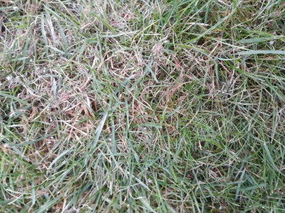 20181120_085004.jpg