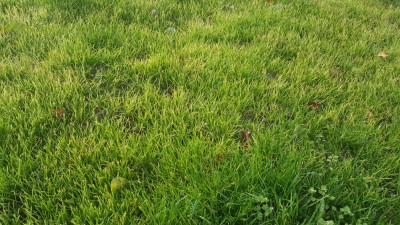 20181128_102507.jpg