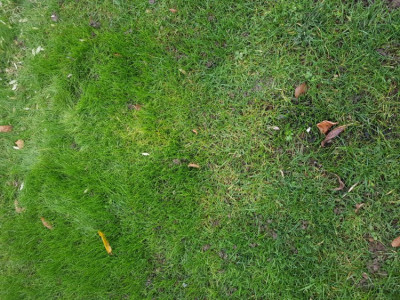 20181201_150904.jpg