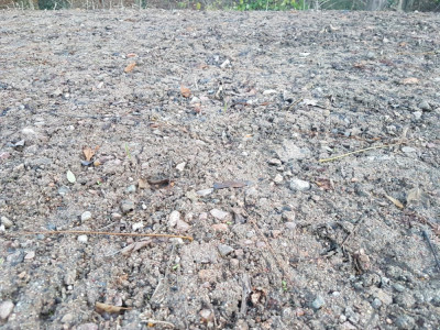 20181211_164439.jpg