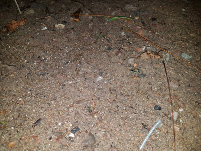 20181211_175905.jpg