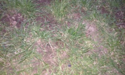 20160322_192250.jpg