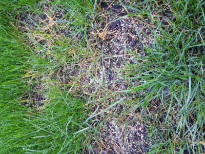 20181230_100407.jpg