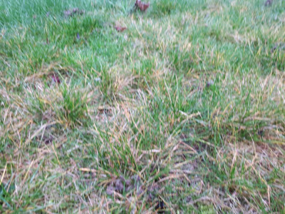 20181230_100446.jpg